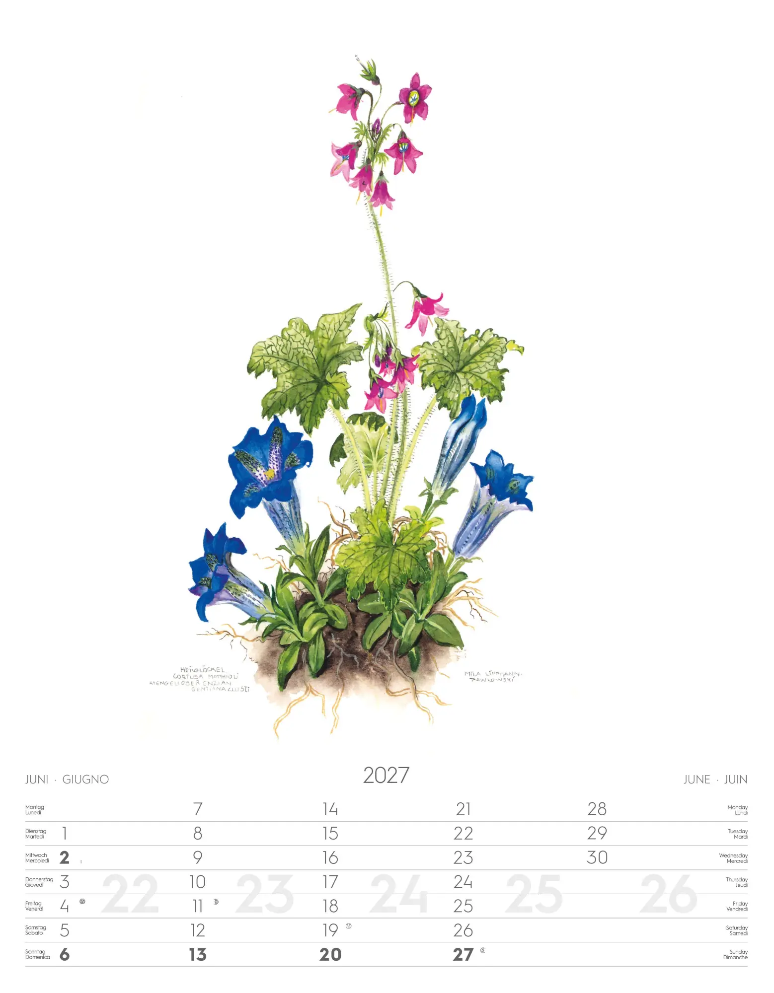 Bild: 9788868399108 | Alpenblumen-Aquarelle Kalender 2027 | Athesia-Tappeiner Verlag | 14 S.