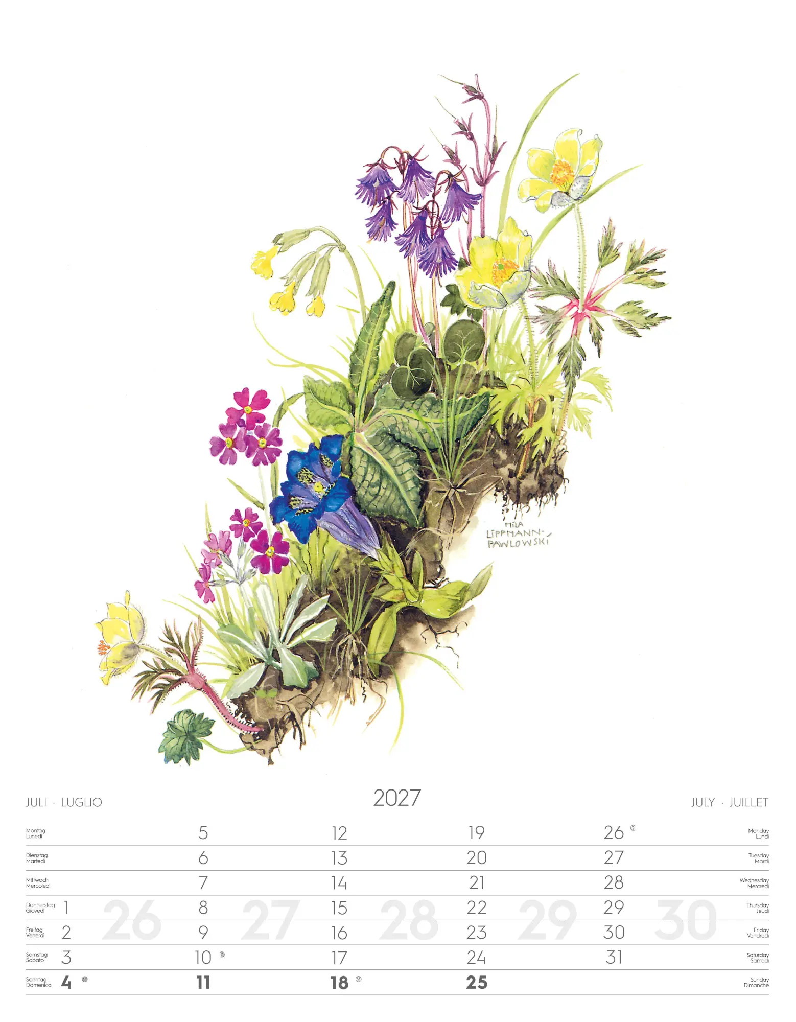 Bild: 9788868399108 | Alpenblumen-Aquarelle Kalender 2027 | Athesia-Tappeiner Verlag | 14 S.