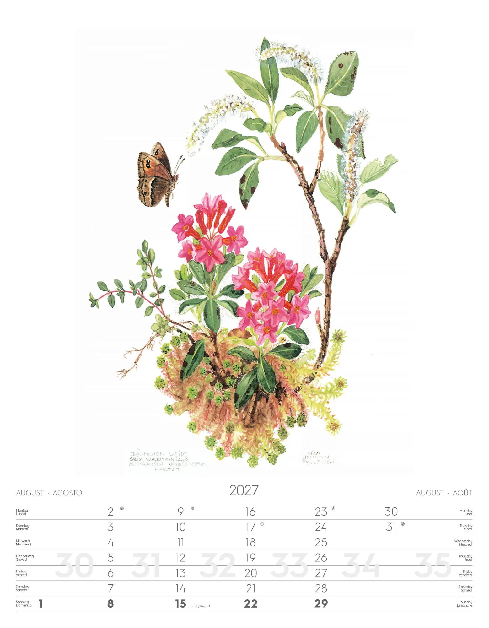 Bild: 9788868399108 | Alpenblumen-Aquarelle Kalender 2027 | Athesia-Tappeiner Verlag | 14 S.