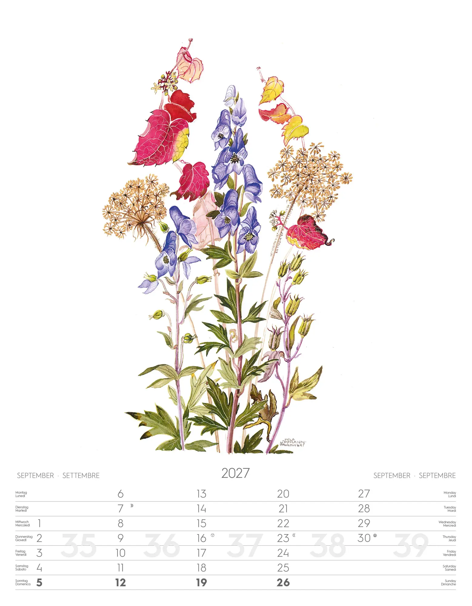 Bild: 9788868399108 | Alpenblumen-Aquarelle Kalender 2027 | Athesia-Tappeiner Verlag | 14 S.