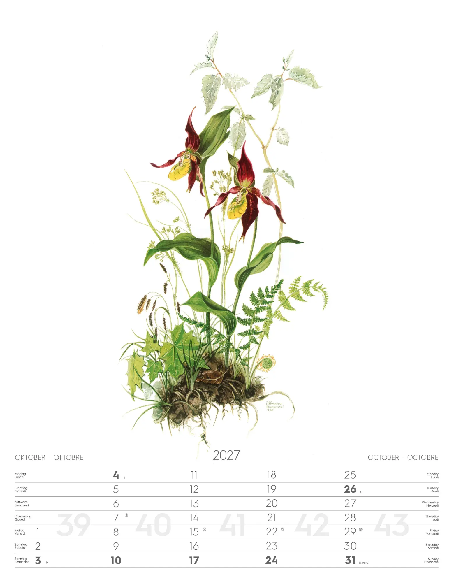 Bild: 9788868399108 | Alpenblumen-Aquarelle Kalender 2027 | Athesia-Tappeiner Verlag | 14 S.