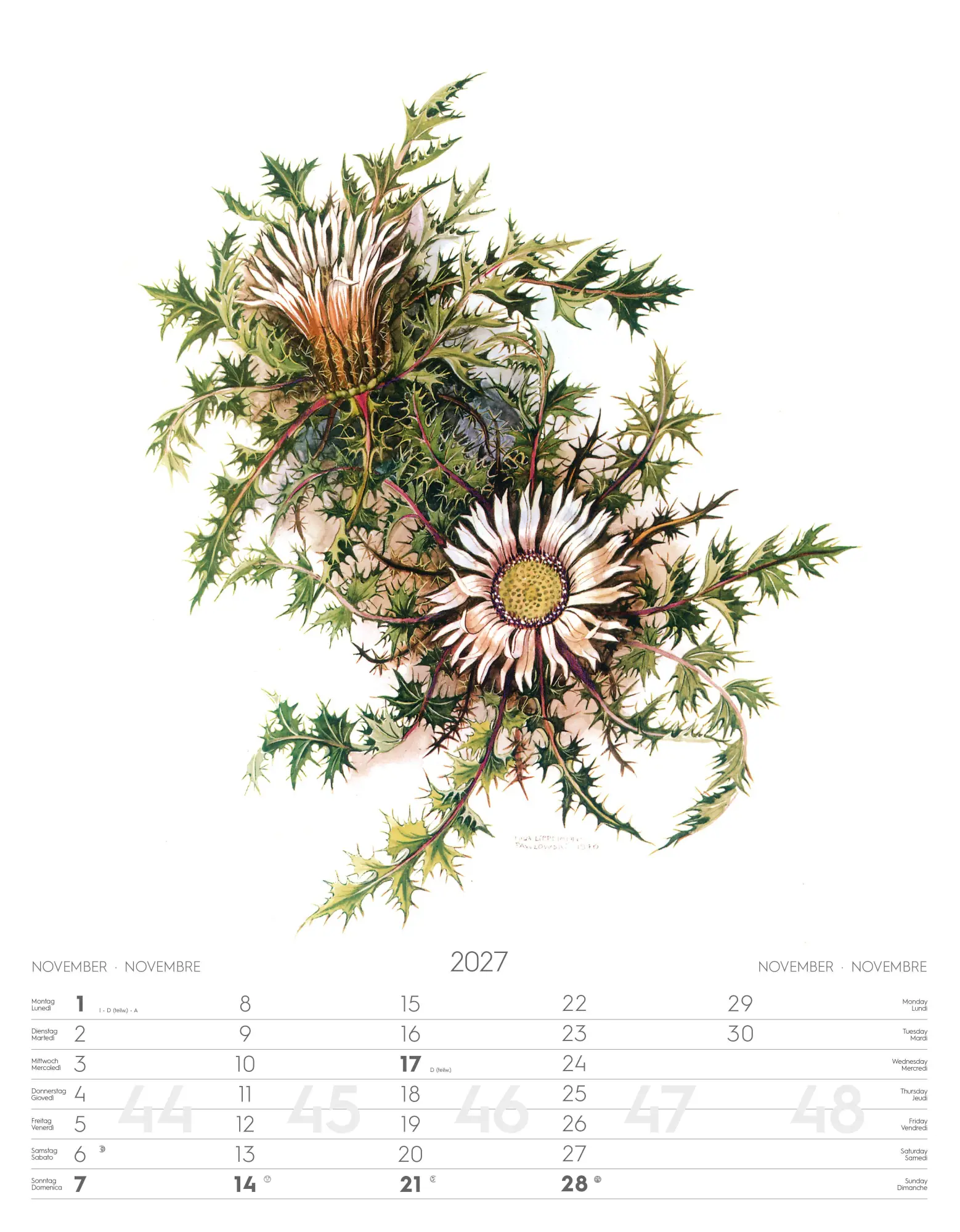 Bild: 9788868399108 | Alpenblumen-Aquarelle Kalender 2027 | Athesia-Tappeiner Verlag | 14 S.