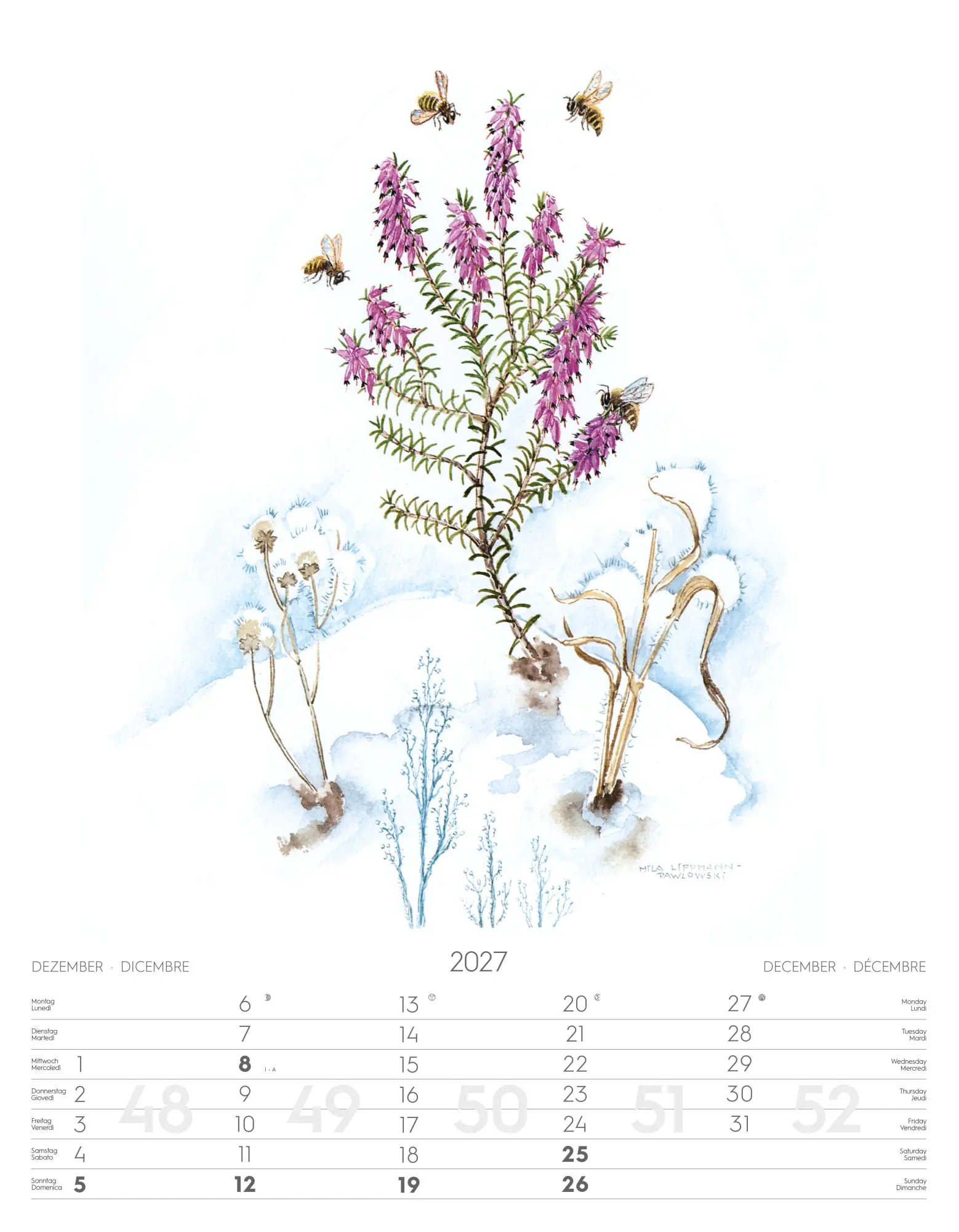Bild: 9788868399108 | Alpenblumen-Aquarelle Kalender 2027 | Athesia-Tappeiner Verlag | 14 S.