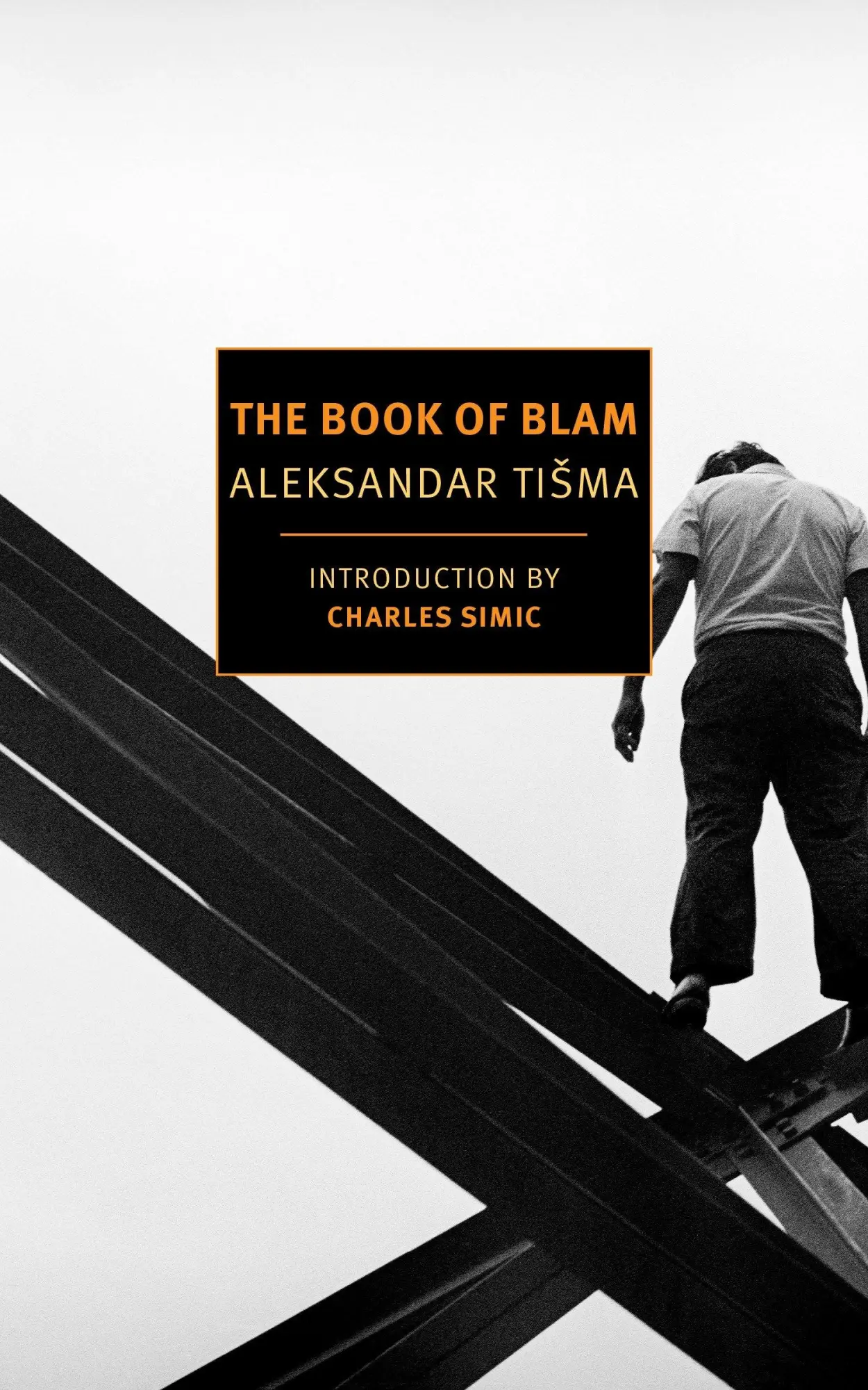 Cover: 9781590179208 | The Book of Blam | Aleksandar Tisma | Taschenbuch | Englisch | 2016