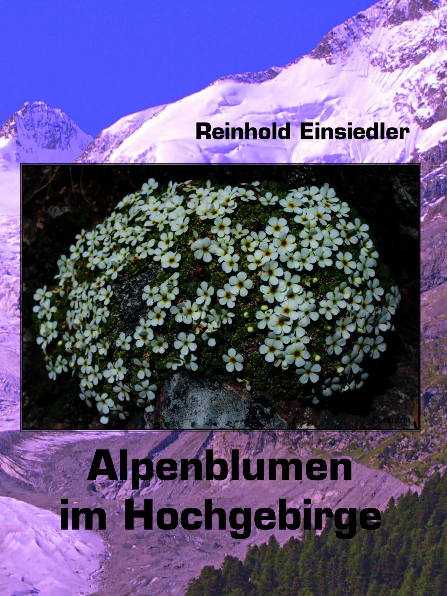 Cover: 9783038309208 | Alpenblumen im Hochgebirge | Reinhold Einsiedler | Taschenbuch | 2025
