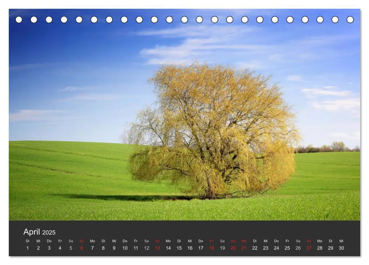 Bild: 9783435779208 | Mecklenburg-Vorpommern (Tischkalender 2025 DIN A5 quer), CALVENDO...