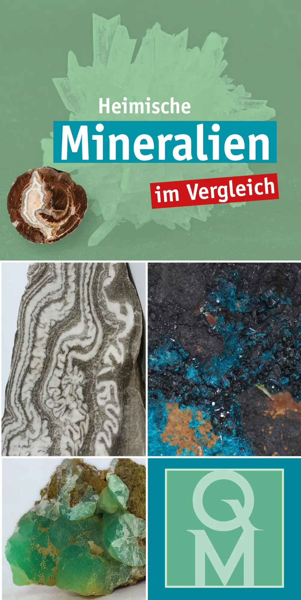 Cover: 9783494019208 | Heimische Mineralien | im Vergleich | Quelle &amp; Meyer Verlag | Buch