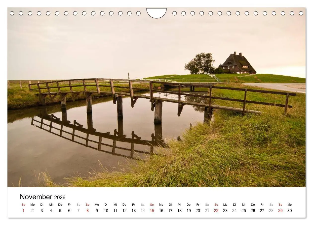 Bild: 9783516029208 | Hallig Hooge - zwischen Himmel und Erde (Wandkalender 2026 DIN A4...