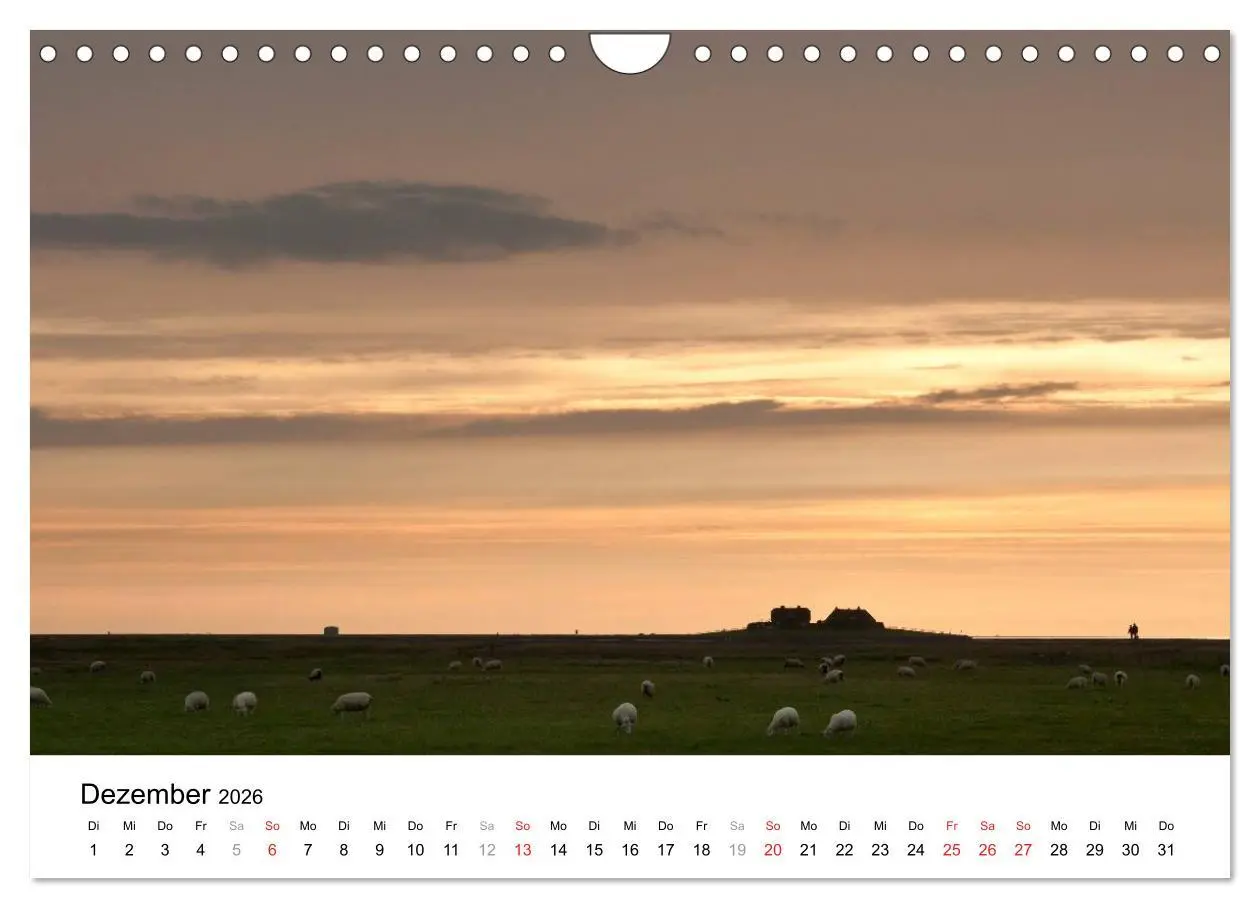 Bild: 9783516029208 | Hallig Hooge - zwischen Himmel und Erde (Wandkalender 2026 DIN A4...