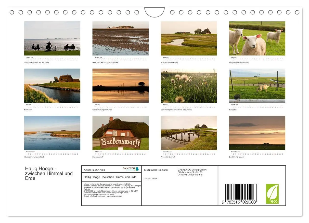Bild: 9783516029208 | Hallig Hooge - zwischen Himmel und Erde (Wandkalender 2026 DIN A4...