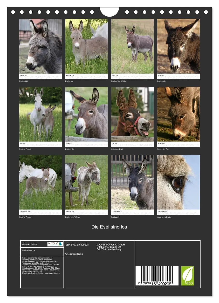 Bild: 9783516409208 | Die Esel sind los (Wandkalender 2026 DIN A4 hoch), CALVENDO...