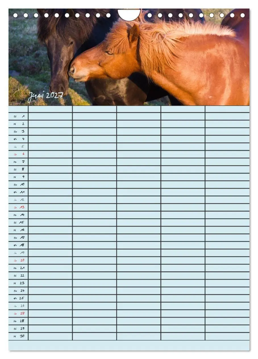 Bild: 9783594249208 | Island Familienplaner (Wandkalender 2027 DIN A4 hoch), CALVENDO...