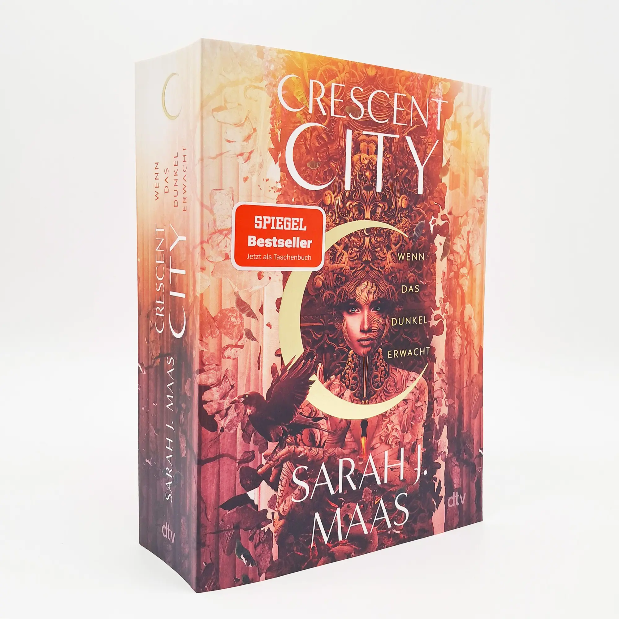 Bild: 9783423719308 | Crescent City - Wenn das Dunkel erwacht | Sarah J. Maas | Taschenbuch