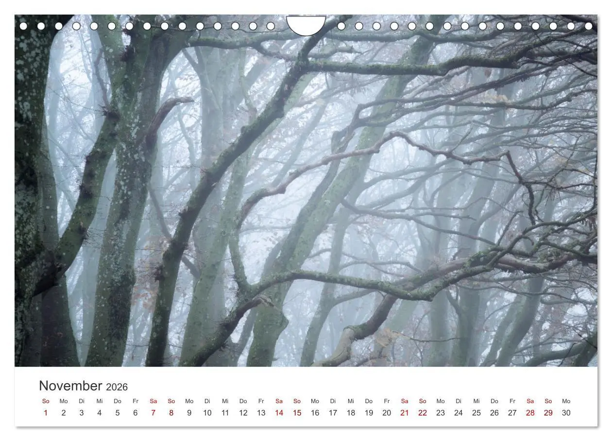Bild: 9783457619308 | Schwäbische Alb neu erleben (Wandkalender 2026 DIN A4 quer),...