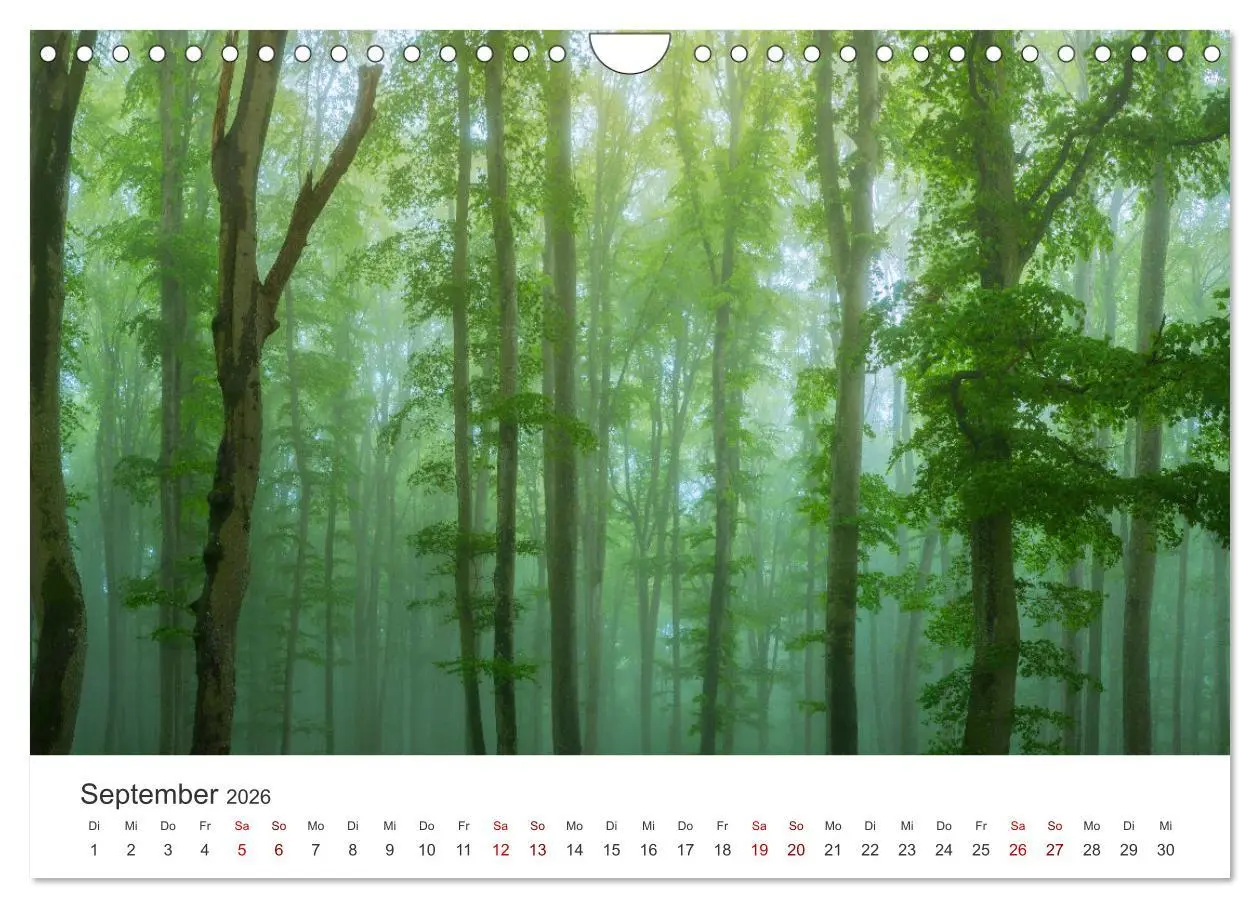 Bild: 9783457619308 | Schwäbische Alb neu erleben (Wandkalender 2026 DIN A4 quer),...