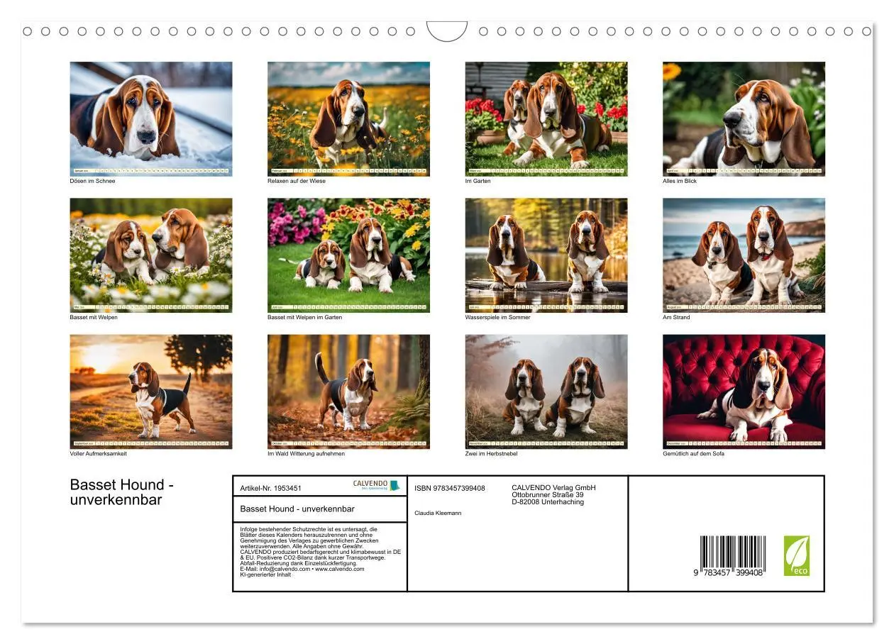 Bild: 9783457399408 | Basset Hound - unverkennbar (Wandkalender 2026 DIN A3 quer),...
