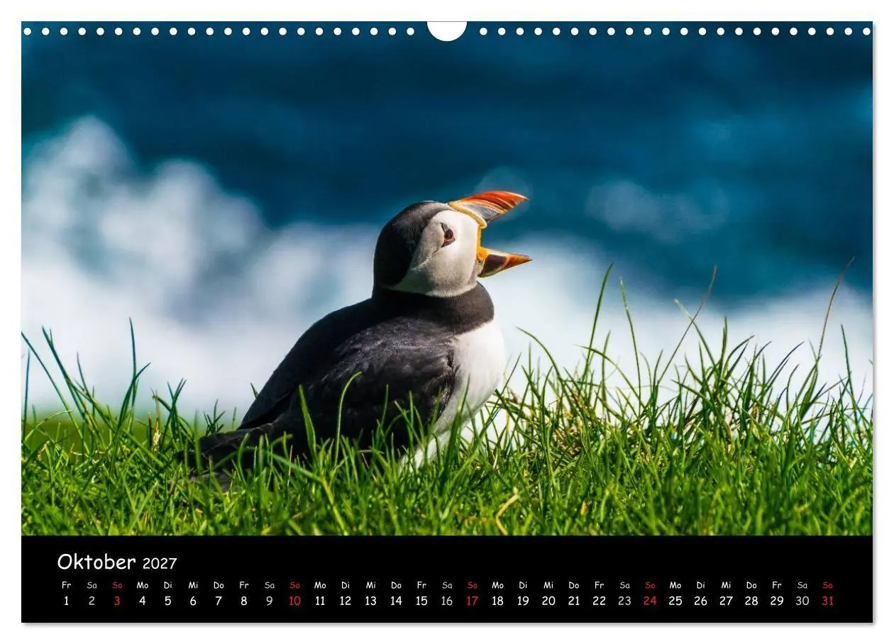 Bild: 9783569959408 | Die Papageientaucher von Mykines (Wandkalender 2027 DIN A3 quer),...