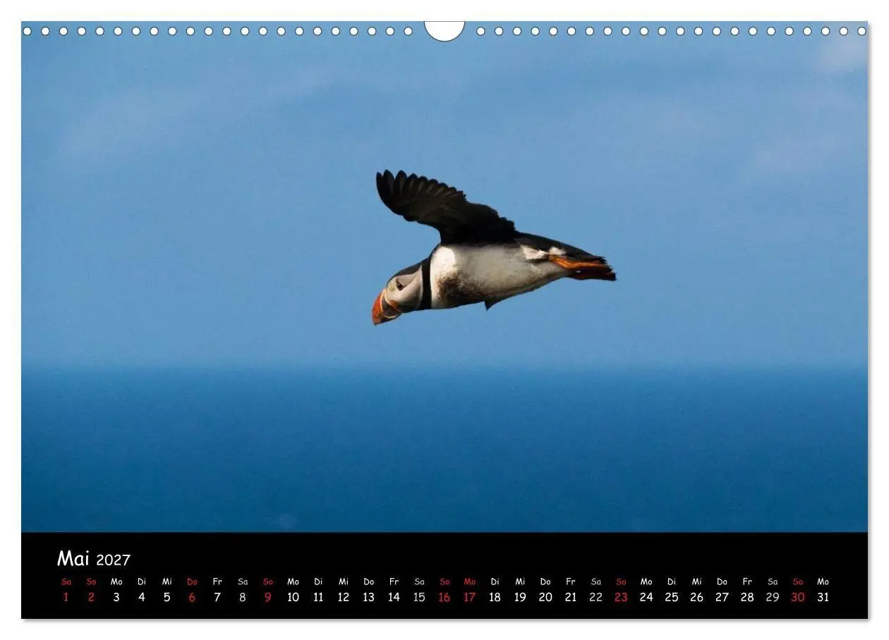 Bild: 9783569959408 | Die Papageientaucher von Mykines (Wandkalender 2027 DIN A3 quer),...