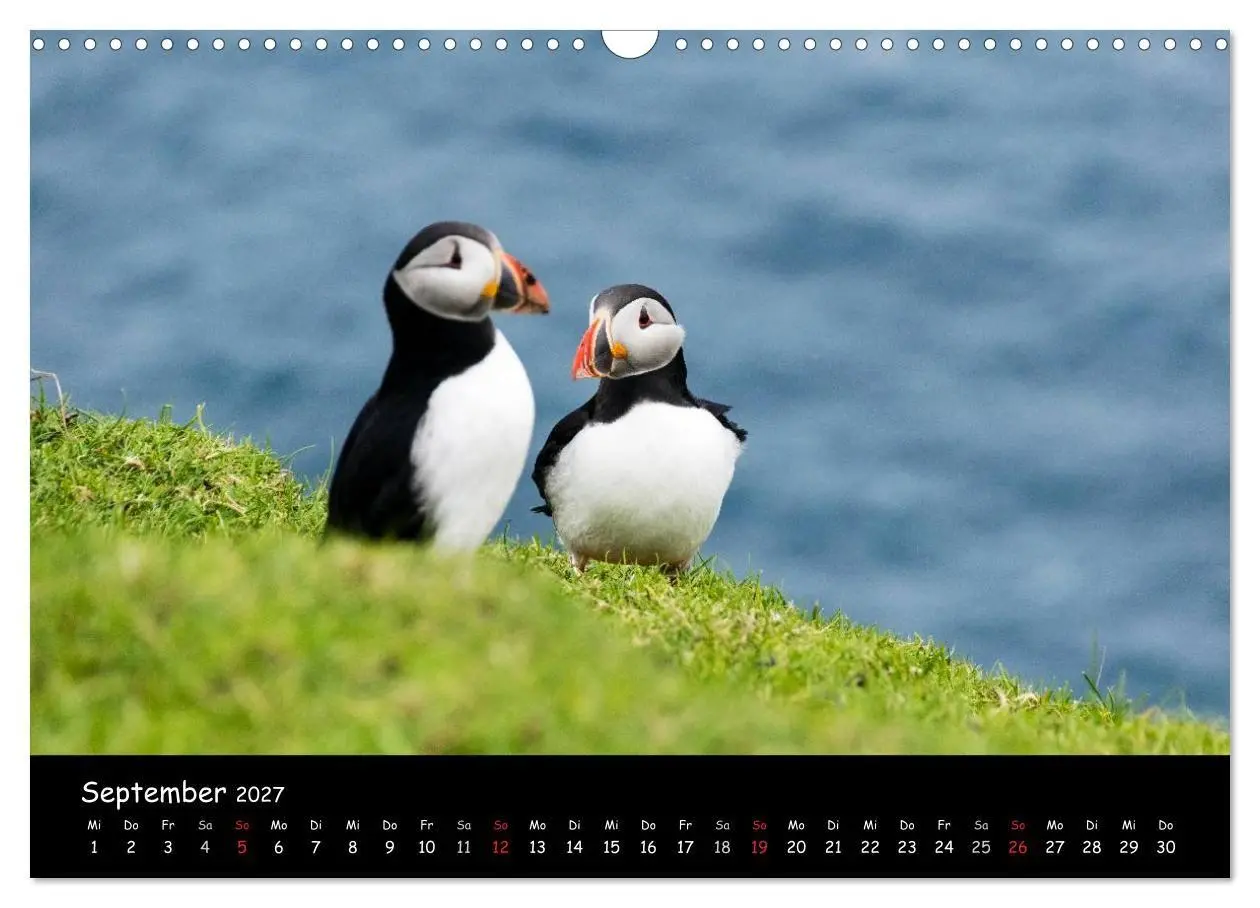 Bild: 9783569959408 | Die Papageientaucher von Mykines (Wandkalender 2027 DIN A3 quer),...
