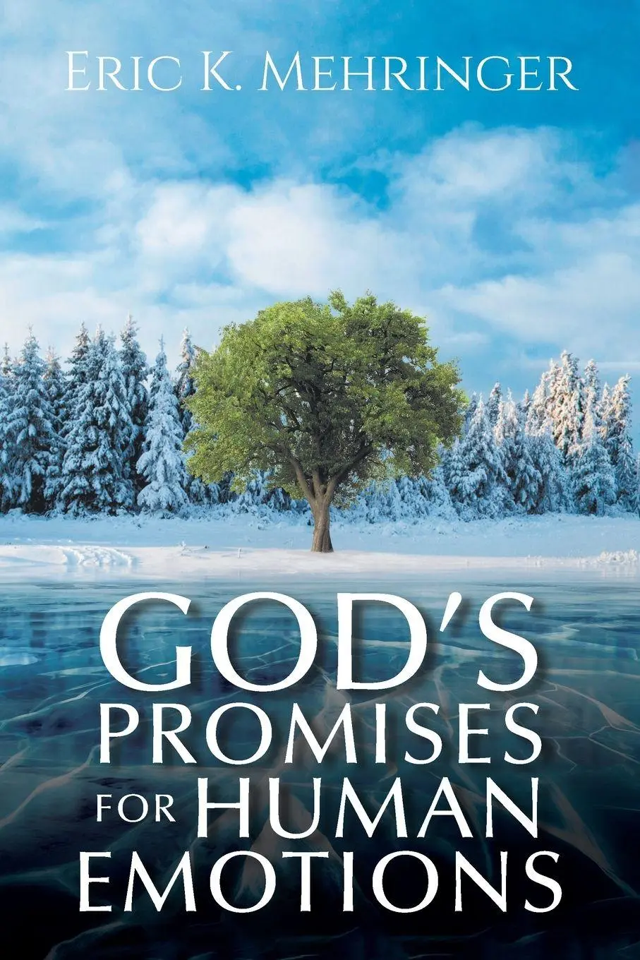 Cover: 9798385069408 | God's Promises for Human Emotions | Eric K. Mehringer | Taschenbuch