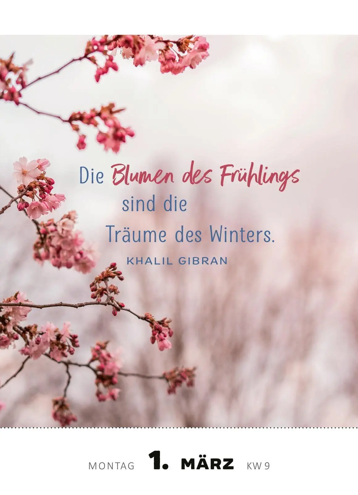 Bild: 4014489139508 | Abreißkalender Achtsamkeit für dich 2027 | Kalender | 640 S. | Deutsch