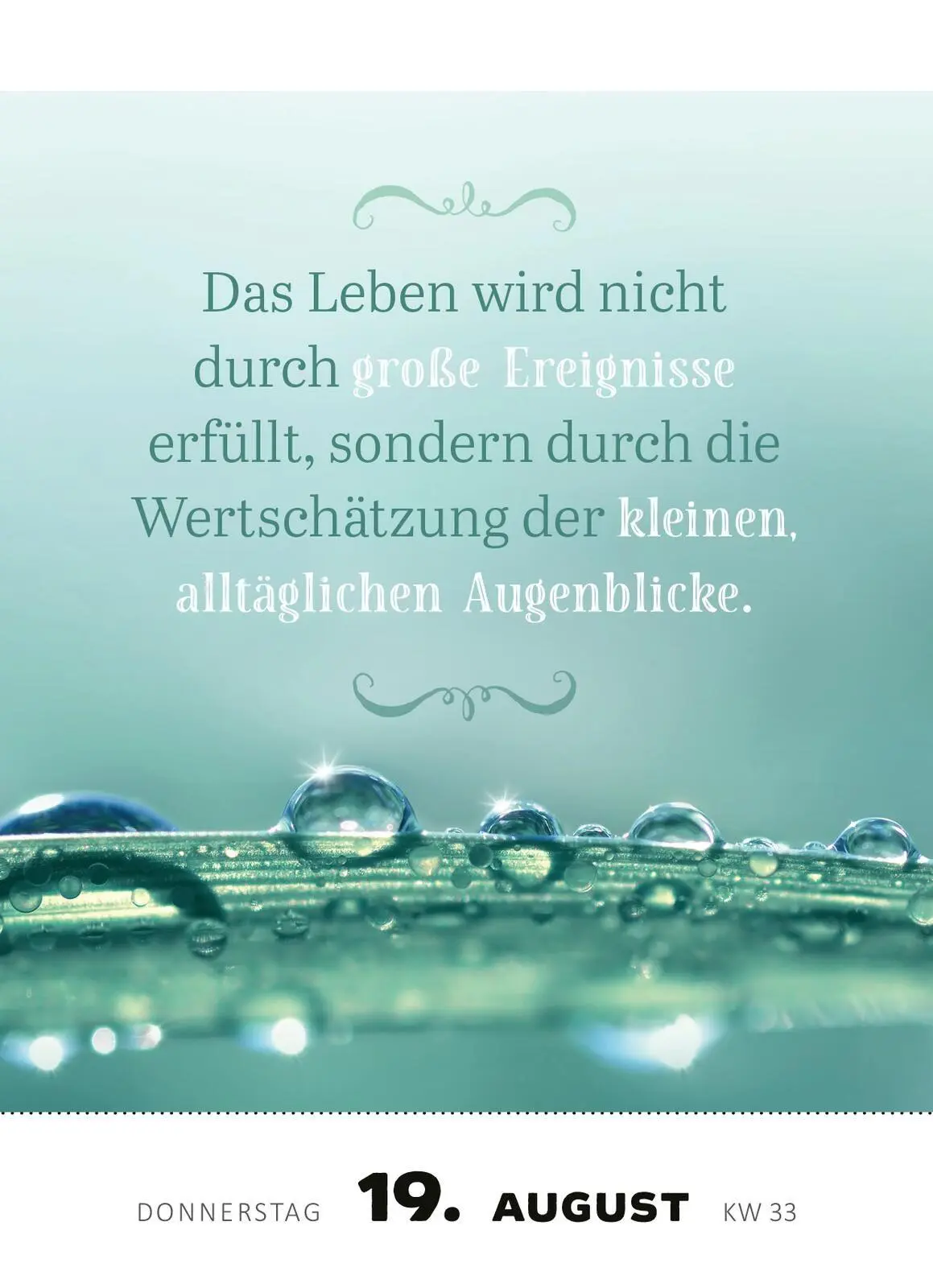 Bild: 4014489139508 | Abreißkalender Achtsamkeit für dich 2027 | Kalender | 640 S. | Deutsch