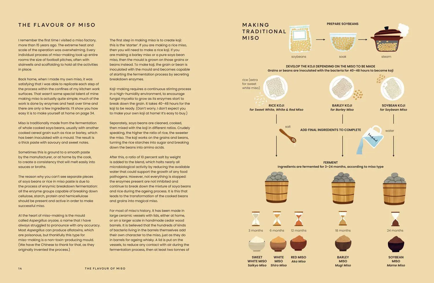 Bild: 9780008739508 | Miso | From Japanese Classics to Everyday Umami | Bonnie Chung | Buch
