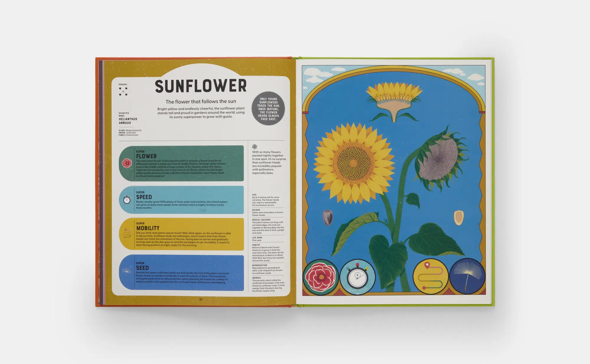 Bild: 9781838669508 | Superpowered Plants | Soledad Romero Mariño | Buch | 60 S. | Englisch