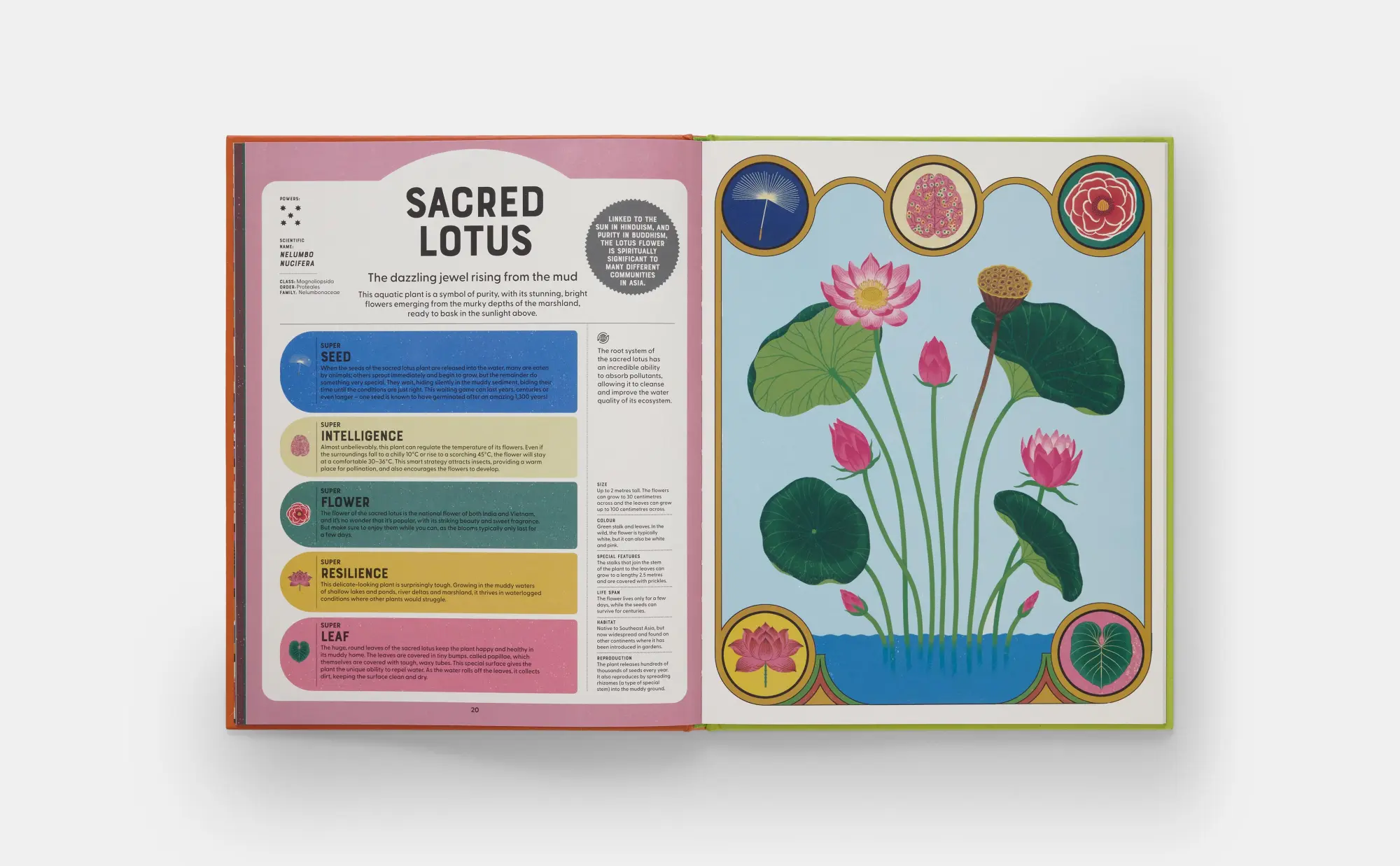 Bild: 9781838669508 | Superpowered Plants | Soledad Romero Mariño | Buch | 60 S. | Englisch