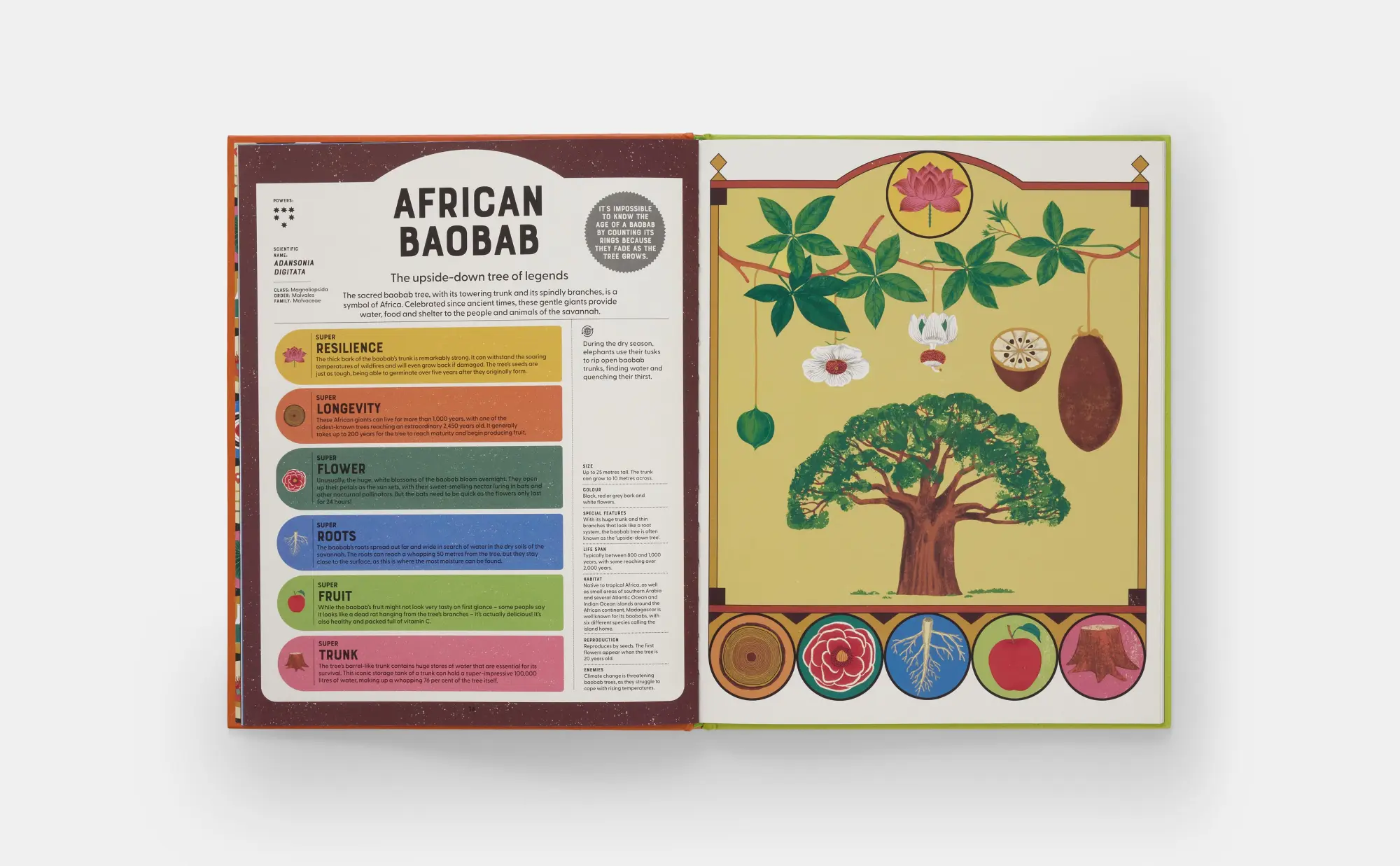 Bild: 9781838669508 | Superpowered Plants | Soledad Romero Mariño | Buch | 60 S. | Englisch