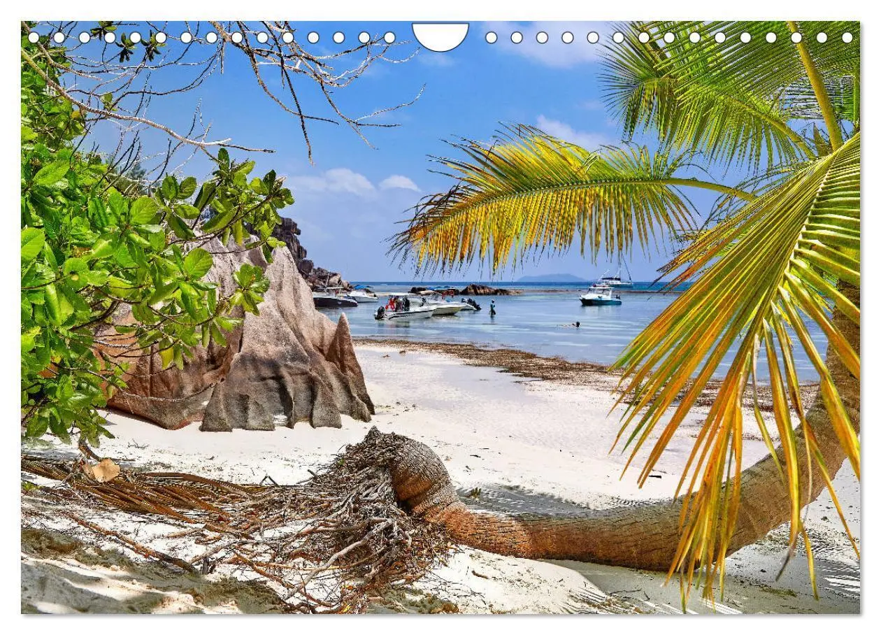 Bild: 9783435299508 | Seychellen Paradies 2025 (Wandkalender 2025 DIN A4 quer), CALVENDO...