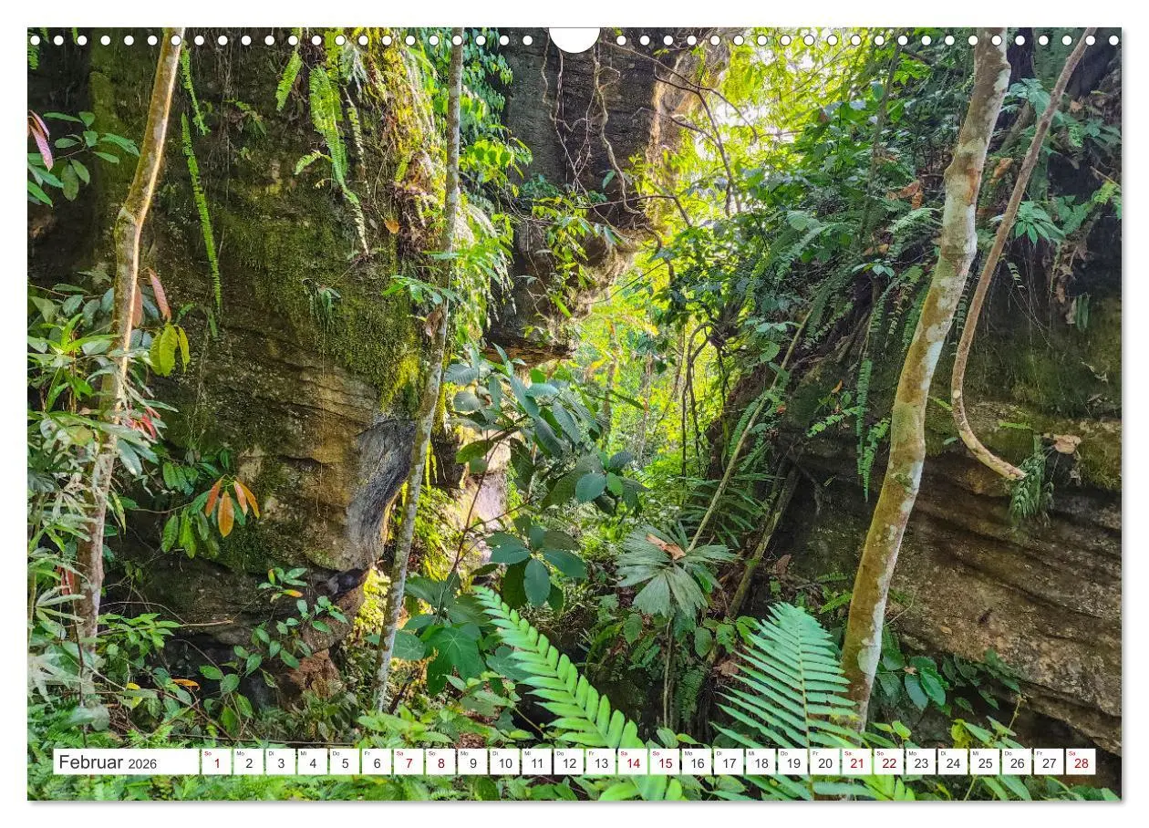 Bild: 9783457389508 | Gunung Leuser Nationalpark Sumatra (Wandkalender 2026 DIN A3 quer),...