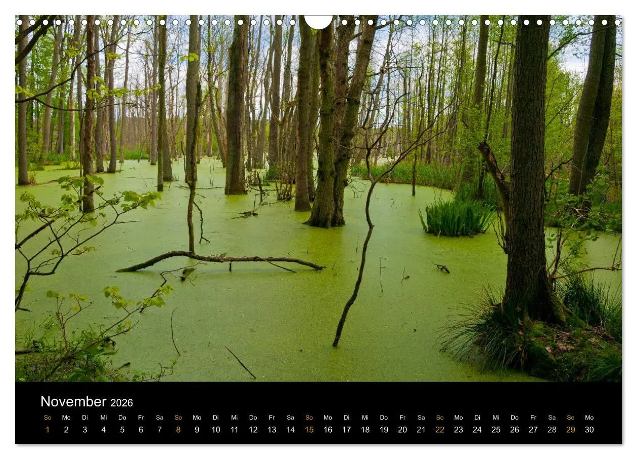 Bild: 9783457909508 | Brandenburg - Landschaften zwischen Elbe und Oder (Wandkalender...