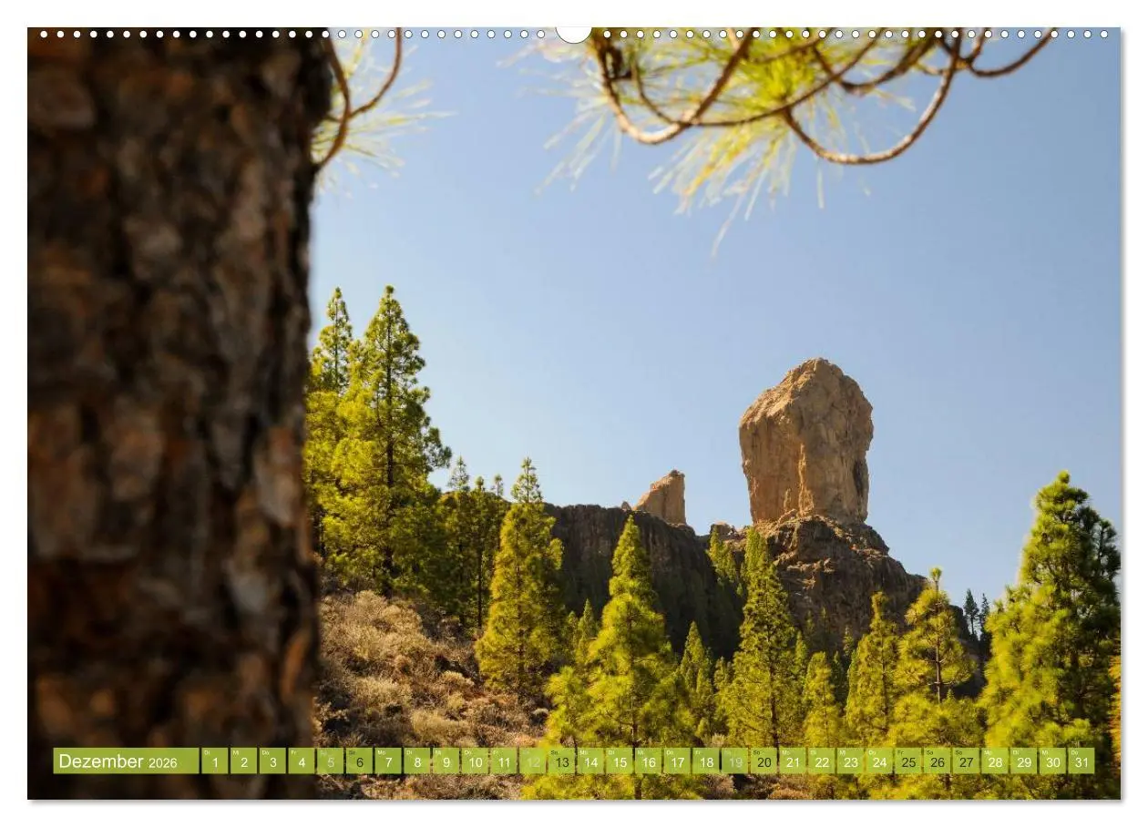 Bild: 9783516169508 | Gran Canaria 2026 (hochwertiger Premium Wandkalender 2026 DIN A2...