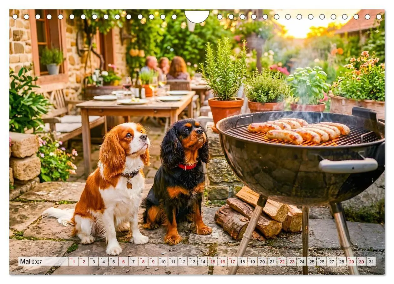 Bild: 9783594389508 | Cavalier King Charles Spaniel - Ein Jahr voller Erlebnisse...