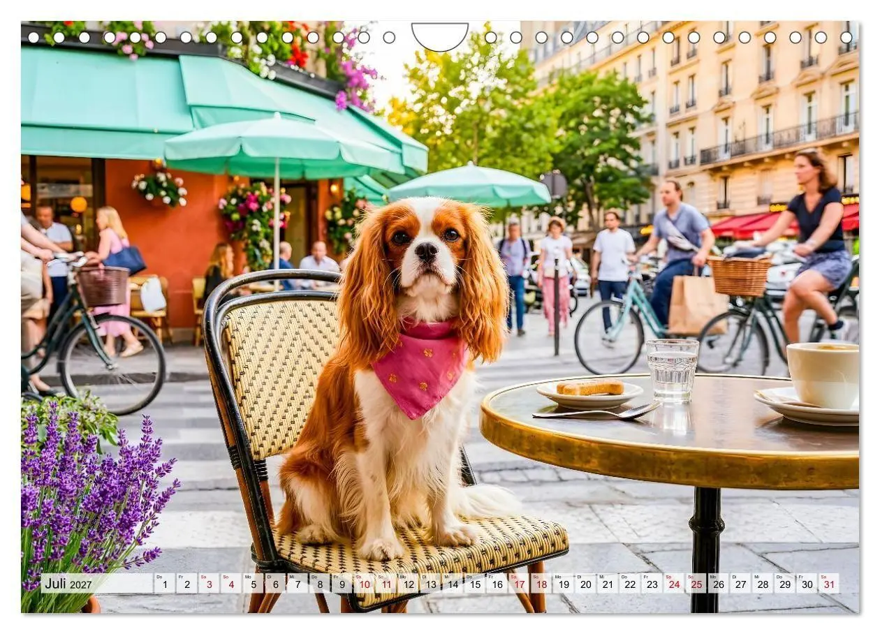 Bild: 9783594389508 | Cavalier King Charles Spaniel - Ein Jahr voller Erlebnisse...