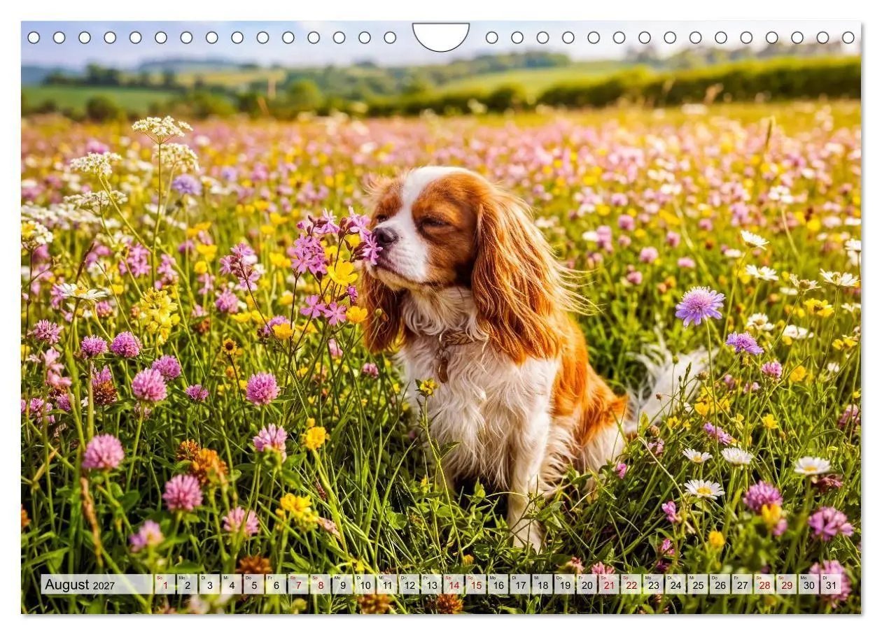 Bild: 9783594389508 | Cavalier King Charles Spaniel - Ein Jahr voller Erlebnisse...