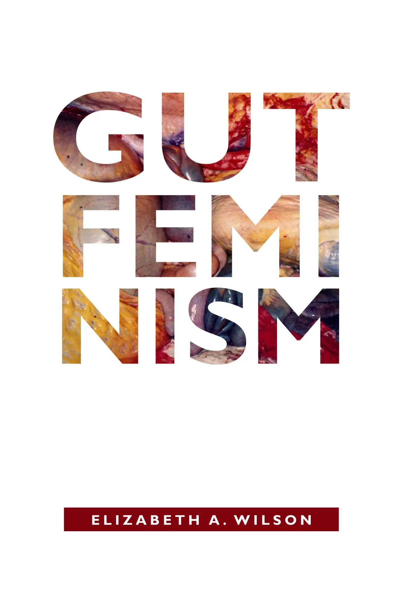 Cover: 9780822359708 | Gut Feminism | Elizabeth A. Wilson | Taschenbuch | Englisch | 2015