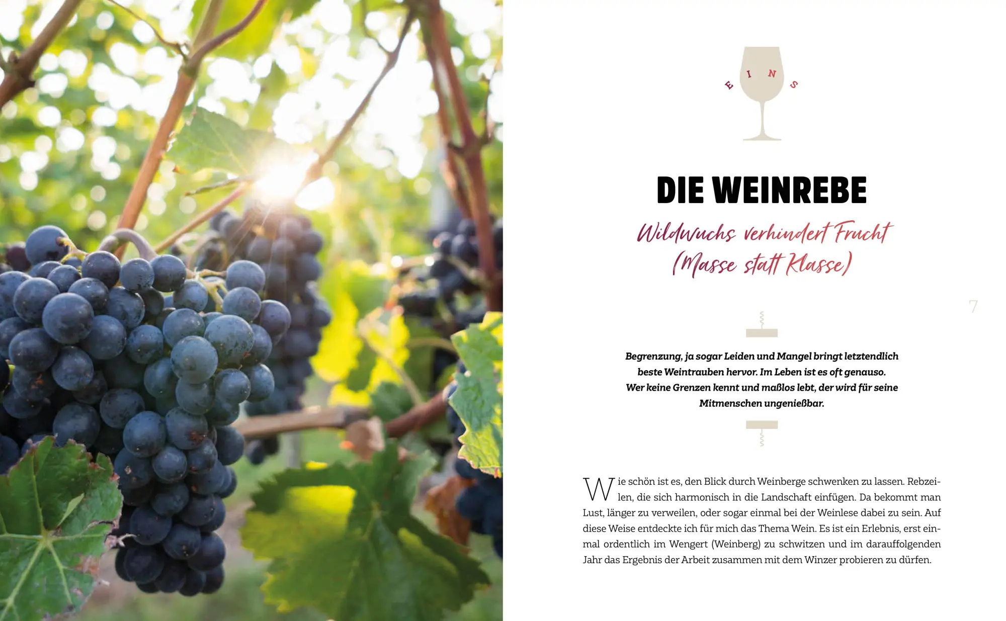 Bild: 9783775159708 | Wein | Ein Geschenk Gottes | Oliver Kircher | Buch | 208 S. | Deutsch