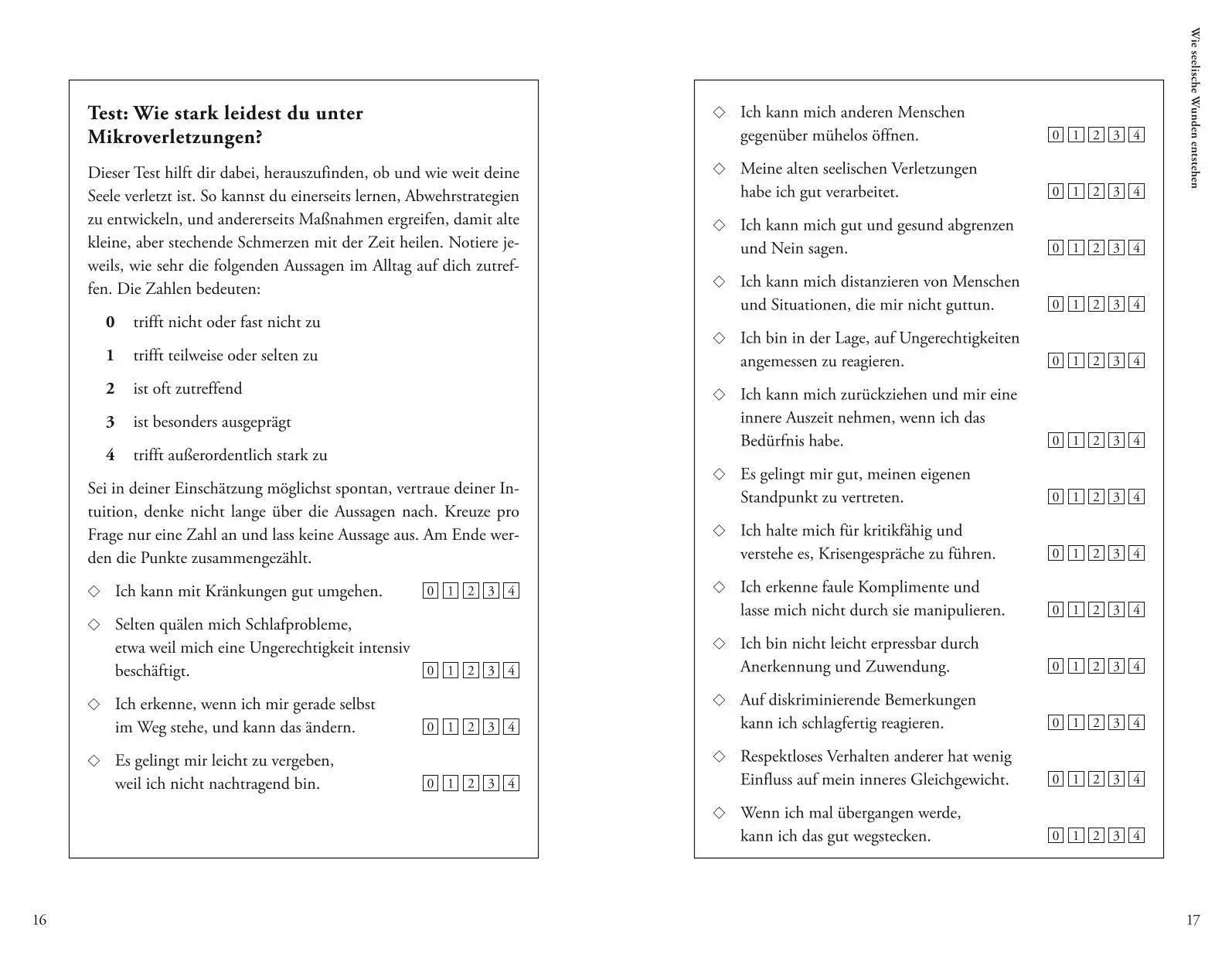 Bild: 9783833879708 | Auch kleine Stiche machen Seelenwunden | Anne Heintze | Taschenbuch