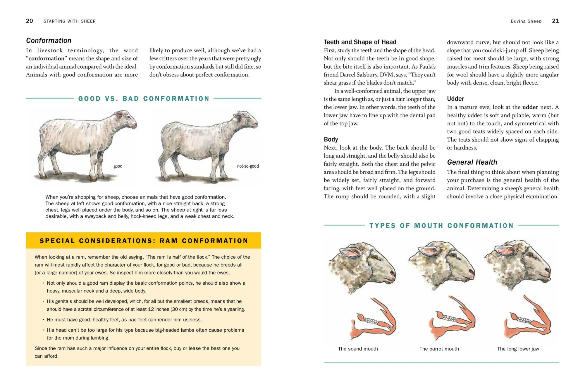 Bild: 9781612129808 | Storey's Guide to Raising Sheep, 5th Edition | Paula Simmons (u. a.)