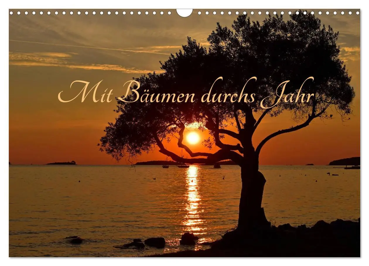 Cover: 9783457809808 | Mit Bäumen durchs Jahr (Wandkalender 2026 DIN A3 quer), CALVENDO...