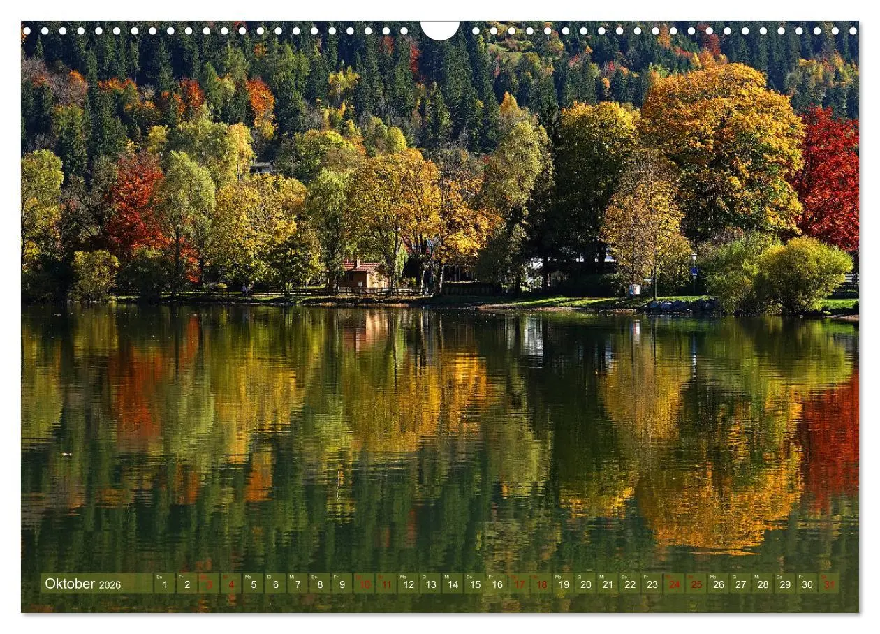Bild: 9783457809808 | Mit Bäumen durchs Jahr (Wandkalender 2026 DIN A3 quer), CALVENDO...