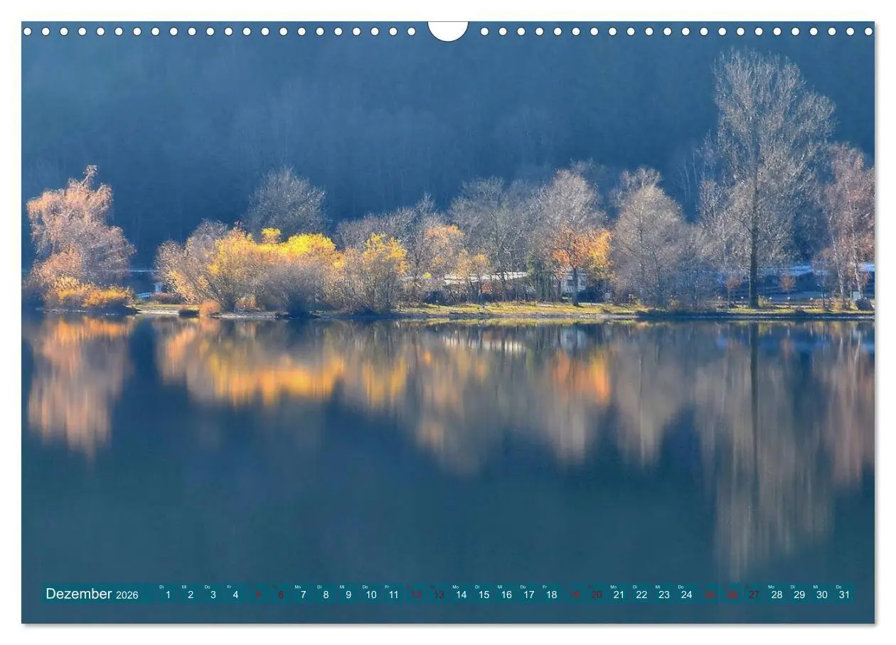 Bild: 9783457809808 | Mit Bäumen durchs Jahr (Wandkalender 2026 DIN A3 quer), CALVENDO...