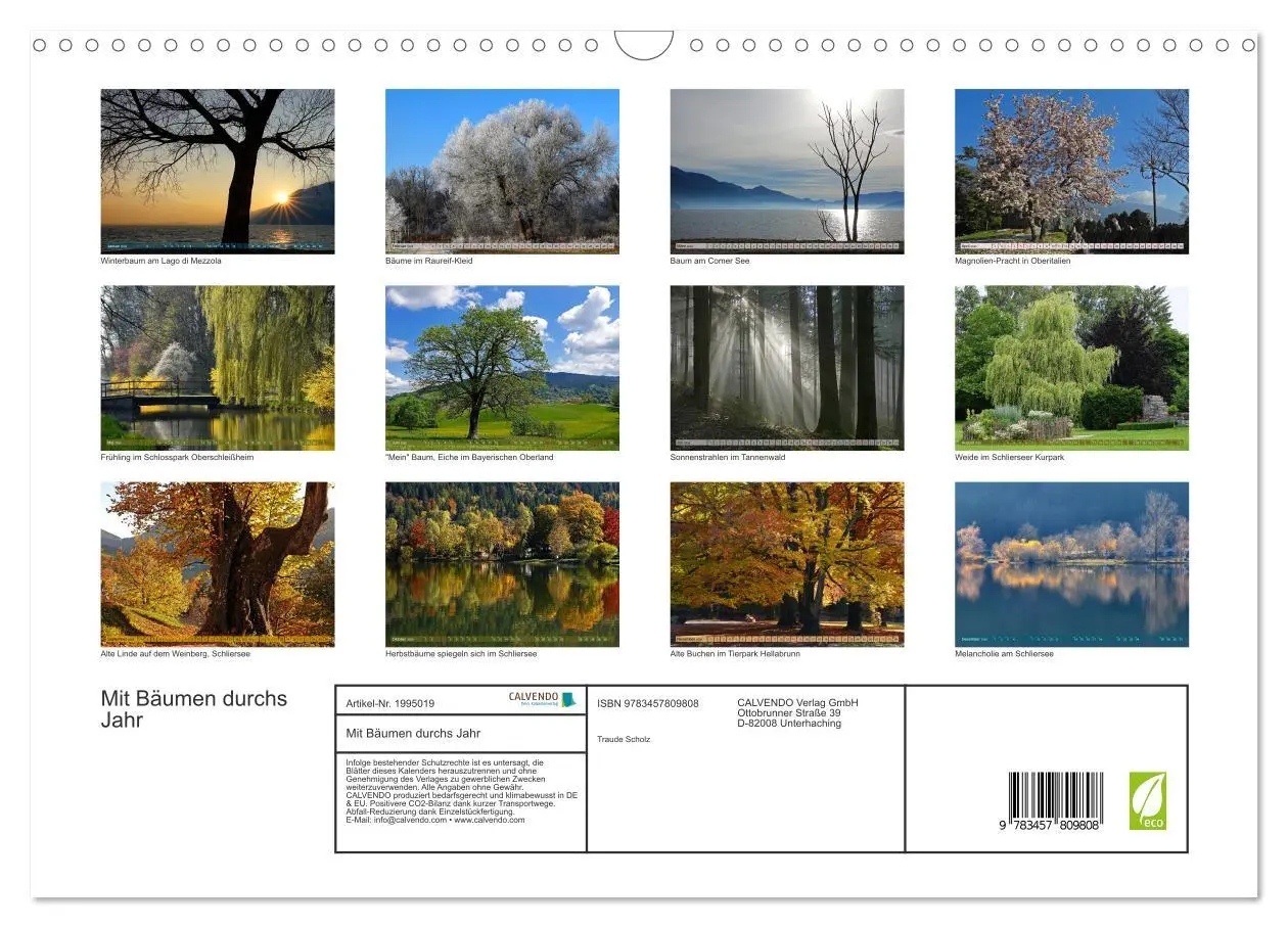 Bild: 9783457809808 | Mit Bäumen durchs Jahr (Wandkalender 2026 DIN A3 quer), CALVENDO...
