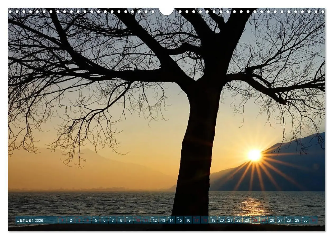 Bild: 9783457809808 | Mit Bäumen durchs Jahr (Wandkalender 2026 DIN A3 quer), CALVENDO...