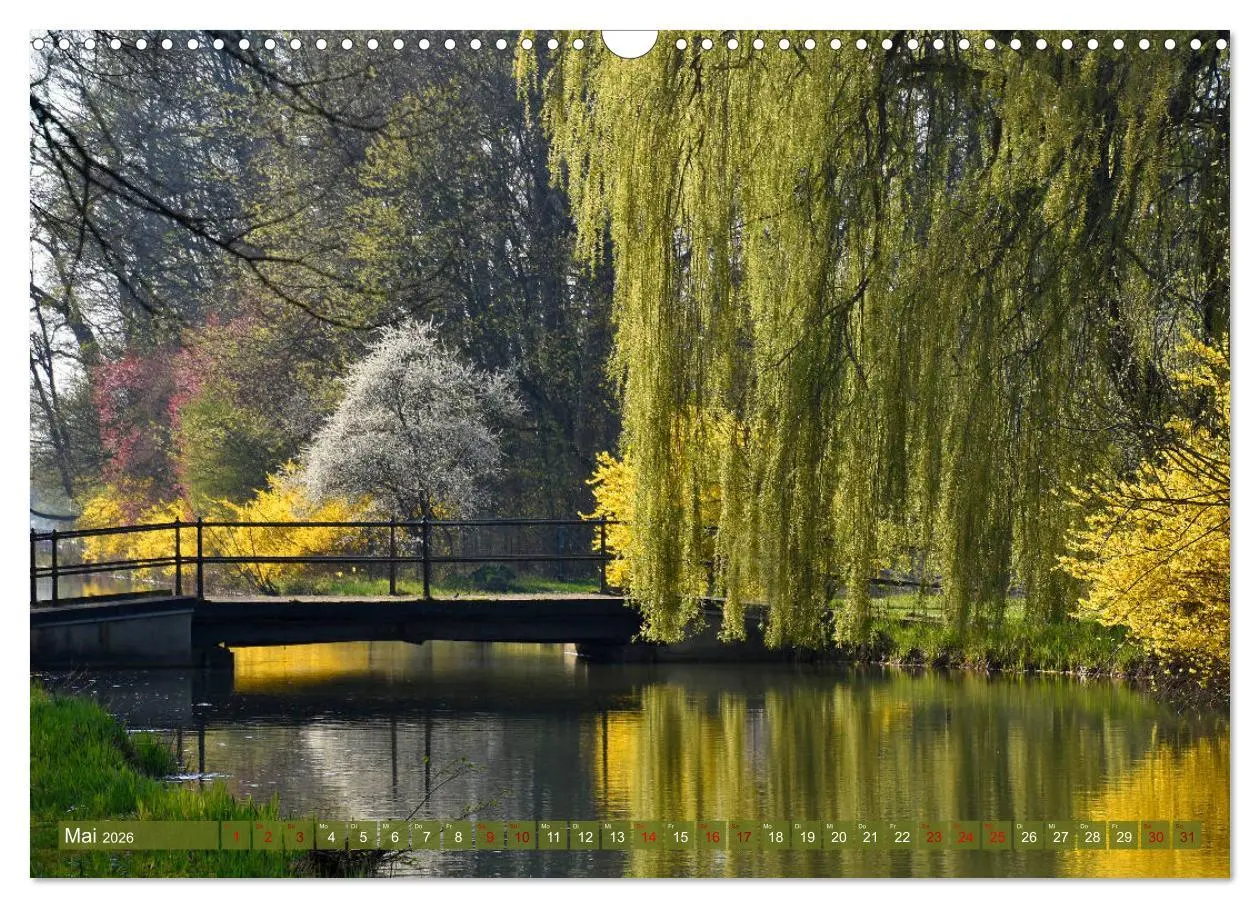 Bild: 9783457809808 | Mit Bäumen durchs Jahr (Wandkalender 2026 DIN A3 quer), CALVENDO...