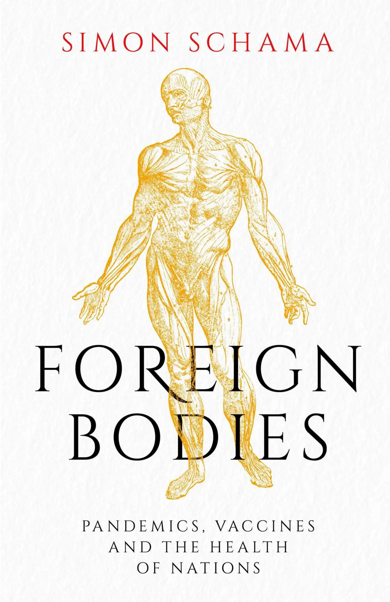 Cover: 9781471169908 | Foreign Bodies | Pandemics, Vaccines and the Health of Nations | Buch
