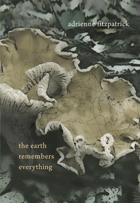 Cover: 9781894759908 | The Earth Remembers Everything | Adrienne Fitzpatrick | Taschenbuch