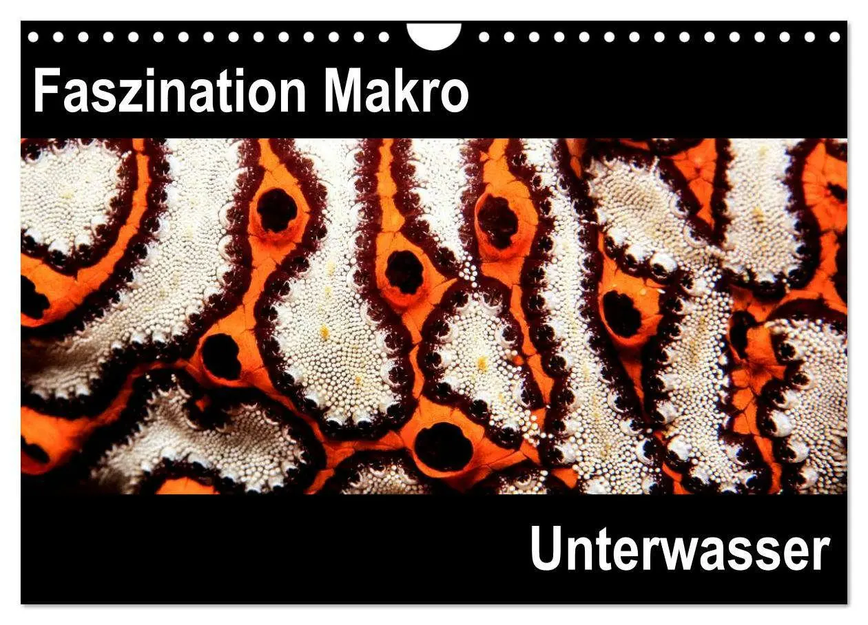Cover: 9783516129908 | Faszination Makro Unterwasser (Wandkalender 2026 DIN A4 quer),...